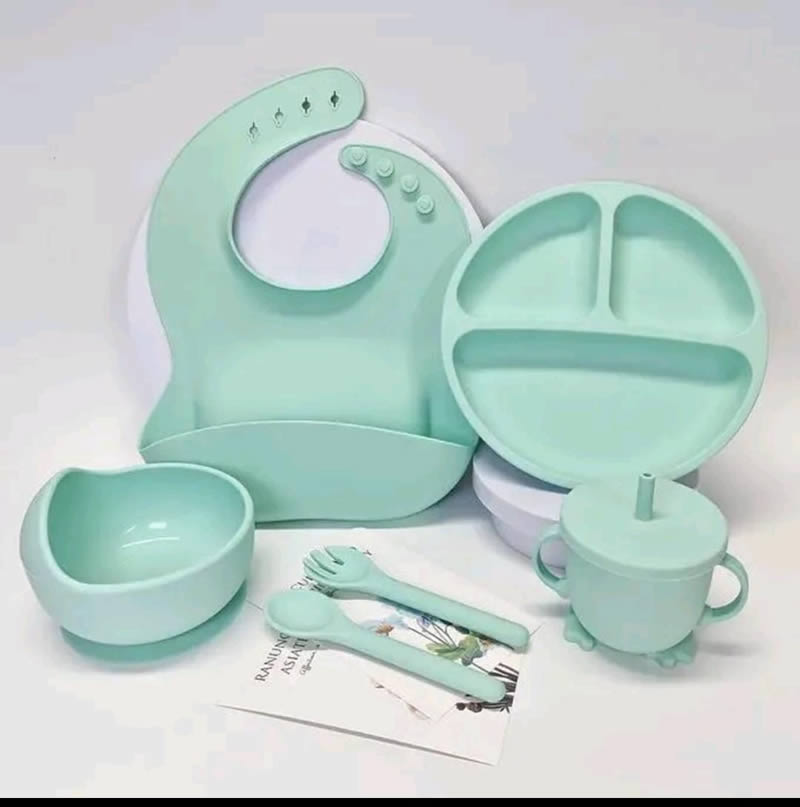 Silicon Feeding Set